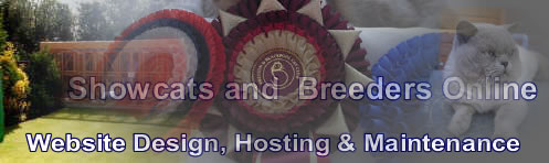 Showcats and Breeders Online